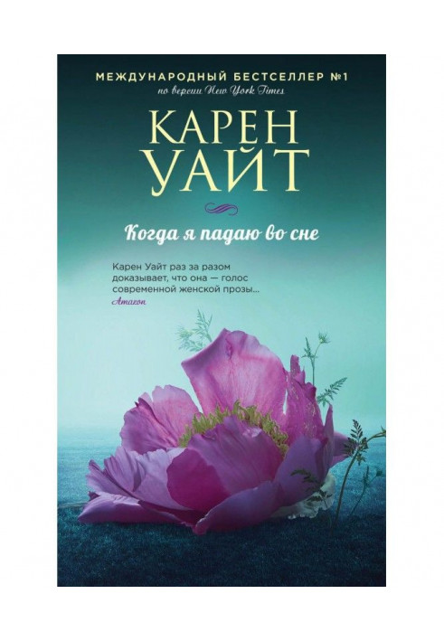 Book When I fall in sleep