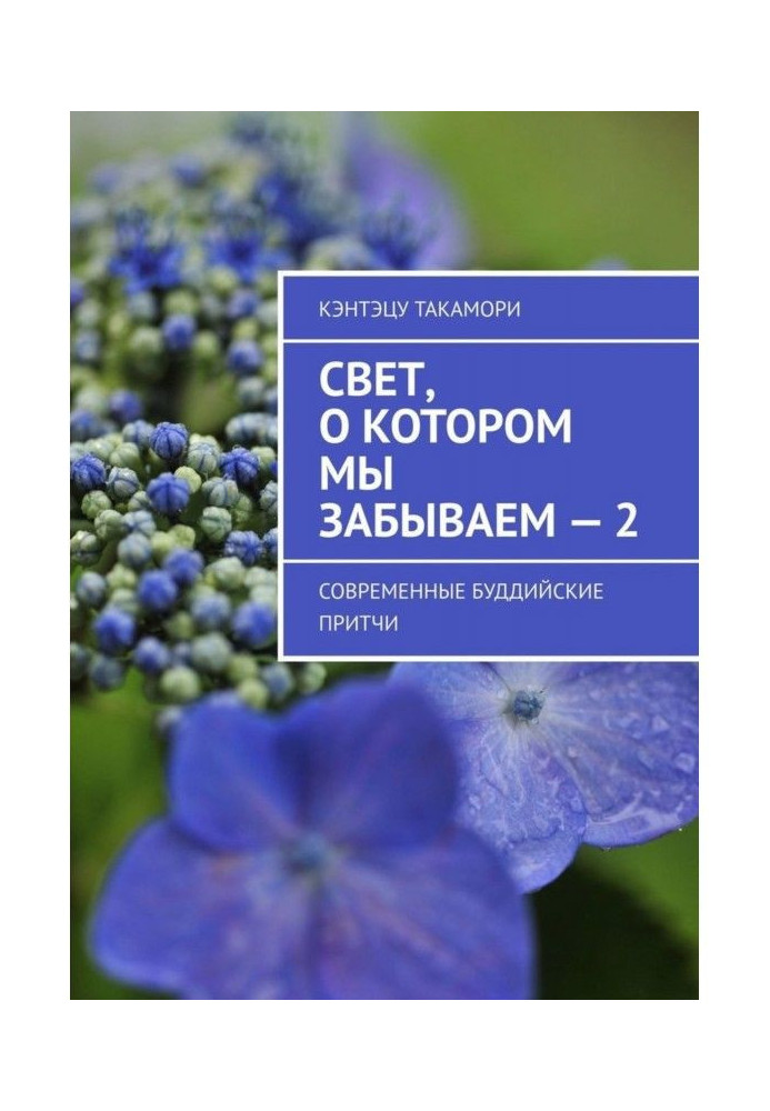 Книга Світло, про яке ми забуваємо 2. Сучасні буддійські притчі