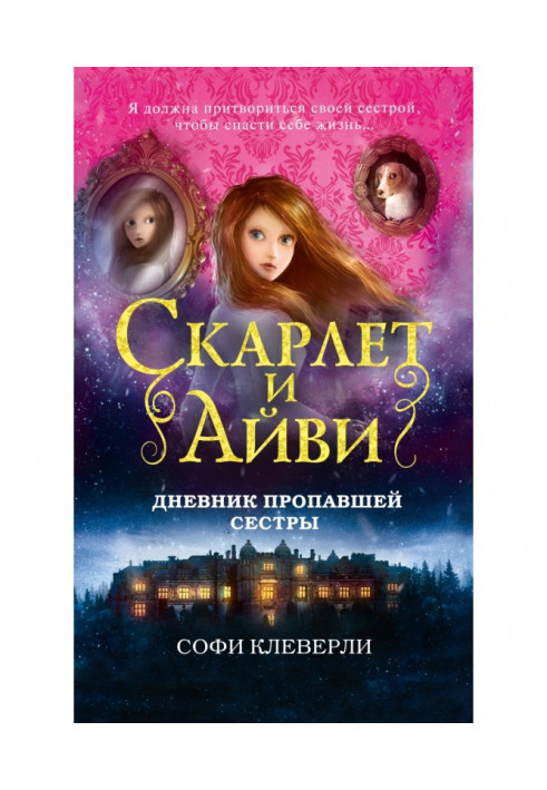 Book Diary of a Missing Sister