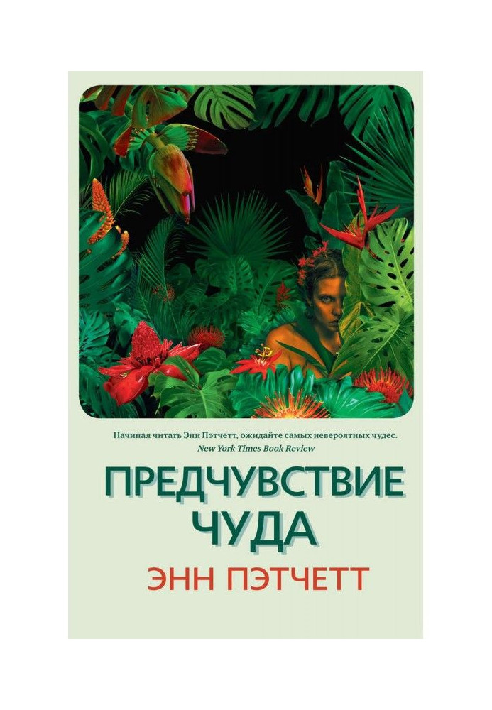 Book Premonition of a miracle