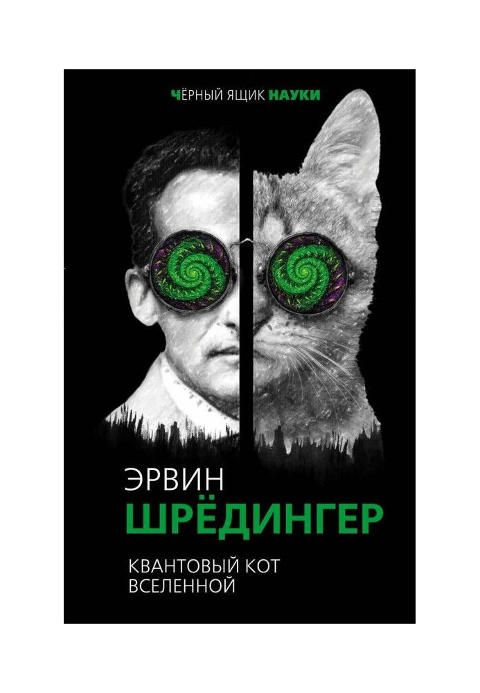 Книга Квантовый кот вселенной