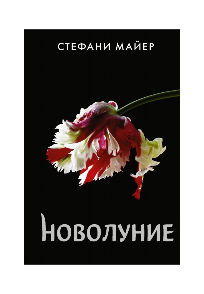 Book New moon