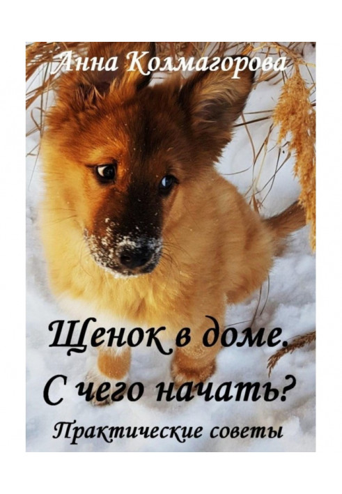 Книга Цуценя в будинку. З чого почати? Практичні поради
