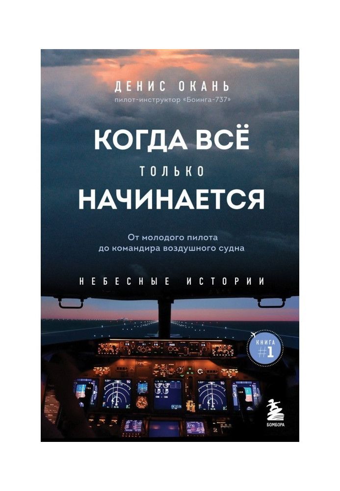 Book When everything is just beginning. Book 1. From a young pilot to an aircraft commander