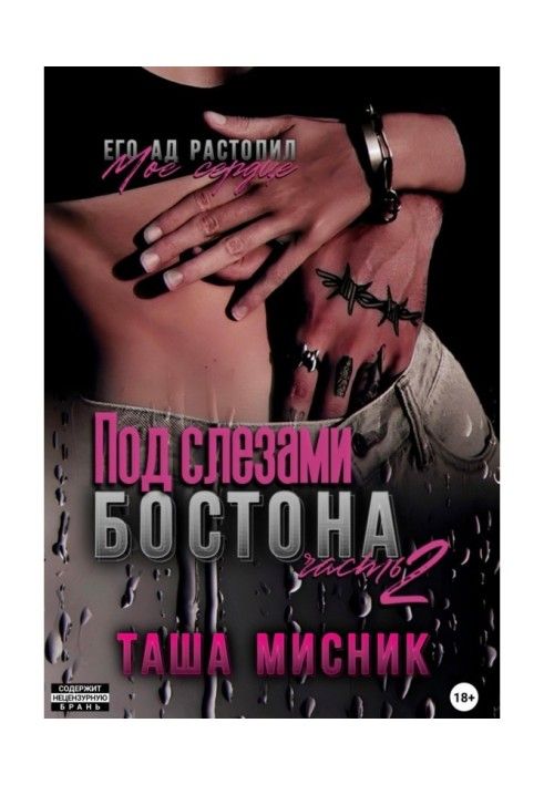 Book Beneath the Tears of Boston. Part 2