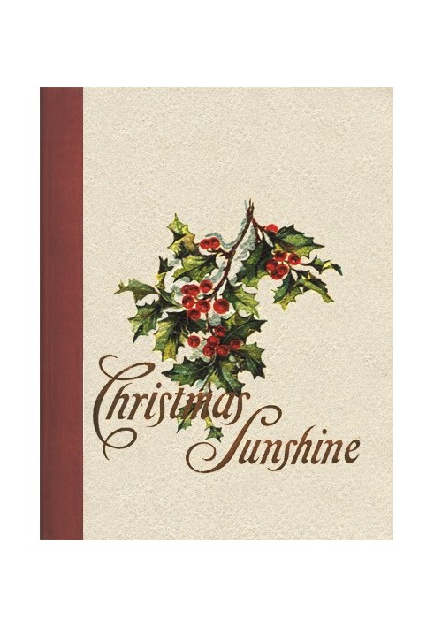 Book Christmas Sunshine