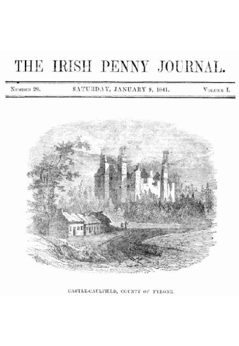 Book The Irish Penny Journal, Vol. 1 No. 28, January 9, 1841