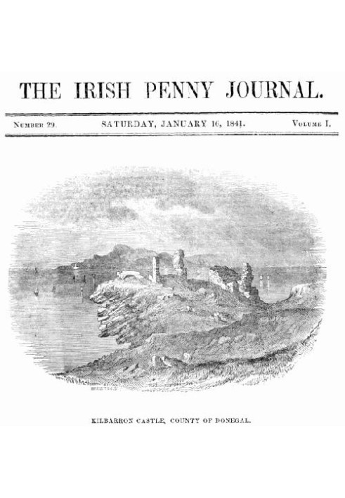 Book The Irish Penny Journal, Vol. 1 No. 29, January 16, 1841