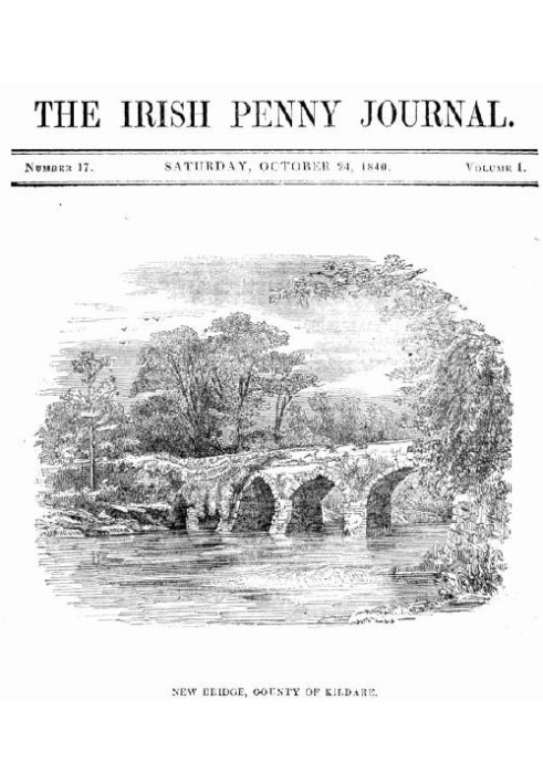 Book The Irish Penny Journal, Vol. 1 No. 17, October 24, 1840